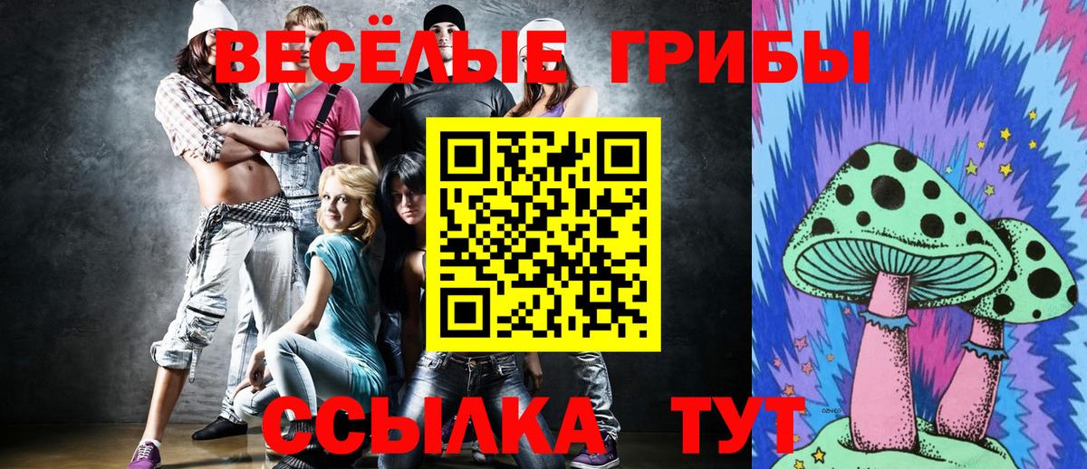 Псилоцибиновые грибы мухоморы  Вход с VPN  Александров 